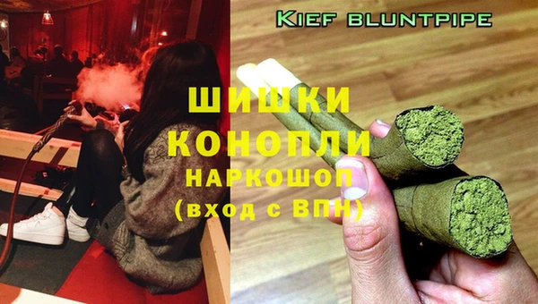 гидра Майский