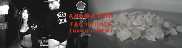 гидра Майский