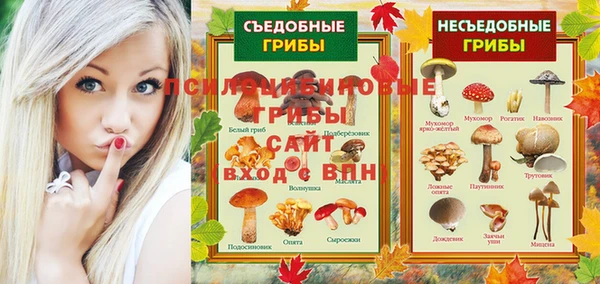 твердый Балахна