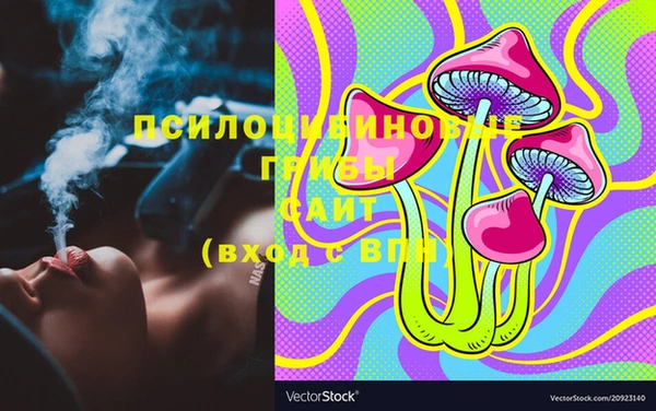 дмт Баксан