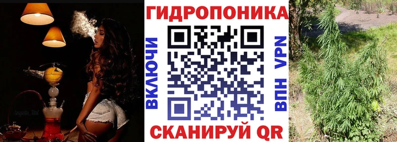 Купить где  Балабаново  Бошки марихуана OG Kush 